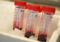 Ομάδα επιστημόνων στο Πανεπιστήμιο του Essex προσπαθεί, με το έργο της Haem02, να αναπτύξει ένα τρίτης γενιάς τεχνητό υποκατάστατο του αίματος που να ταιριάζει σε όλους.