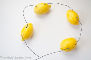 limon elektrik 4