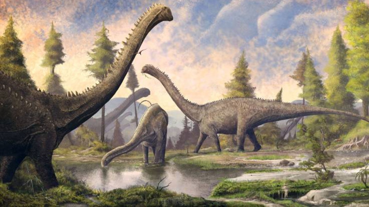 ulkemizdeki hafriyatlarda neden hic dinozor fosili bulunamiyor 2 avwJuN8N