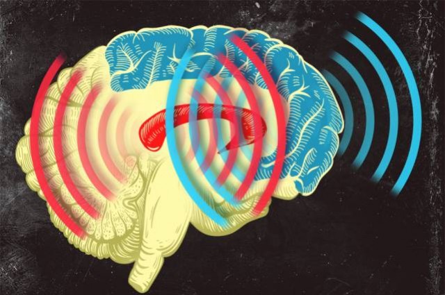Beyin Dalgaları Hızlı Öğrenim İçin Eş Zamanlı Hareket Ederler