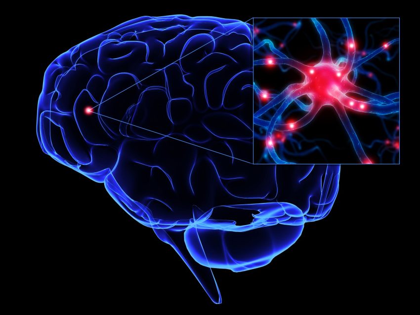 Yeni Keşfedilen Beyin Hücreleri Kök Hücrelere Yeni Nörön Üretmesini Söylüyor