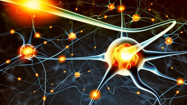 Bilgi Akışını Sağlayan Yeni Nöron Tipi