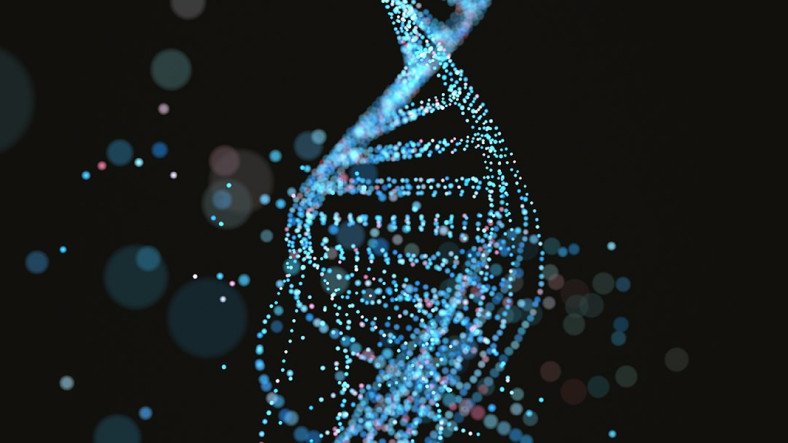 Bilim İnsanları Hücresel Yaşlanma İçin Kilit Gen Buldu