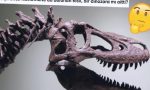 ulkemizdeki-hafriyatlarda-neden-hic-dinozor-fosili-bulunamiyor-xcRhLlfr.jpg