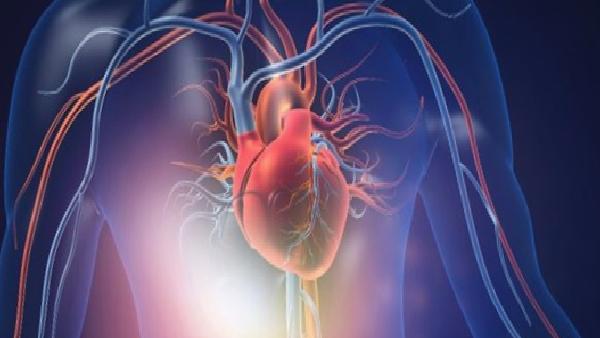 Yeni mRNA tedavisi, kalp krizi sonrası kalbi güzelleştirebilir