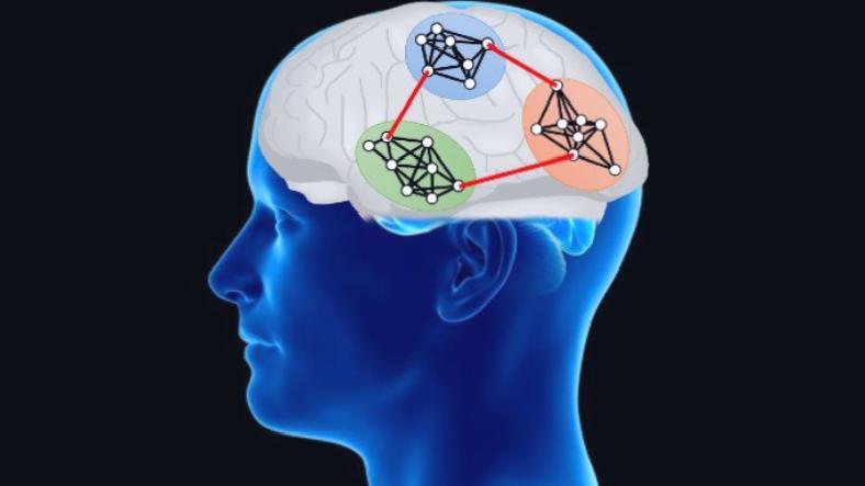 Nöronların ‘Birbirleriyle’ Nasıl Bağlantı Kurduğu Keşfedildi
