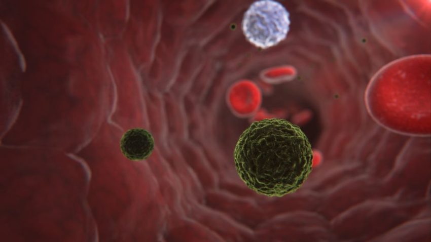 Onkolitik Virüslerin Kanser Hücreleri Üzerindeki Etkisi